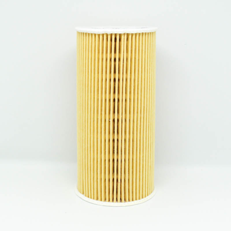 Leweda Cartridge Oil Filter R2700P Interchange