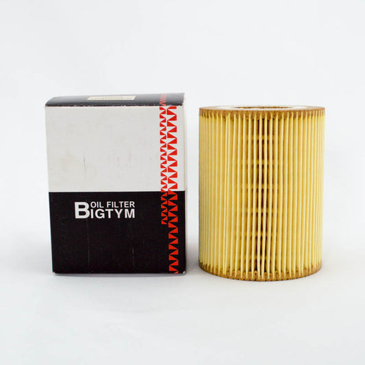 Bigtym Cartridge Oil Filter R2592P Interchange