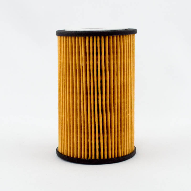 Bigtym Cartridge Oil Filter R2597P Interchange