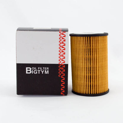 Bigtym Cartridge Oil Filter R2597P Interchange