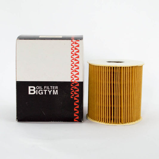 Bigtym Cartridge Oil Filter R2598P Interchange