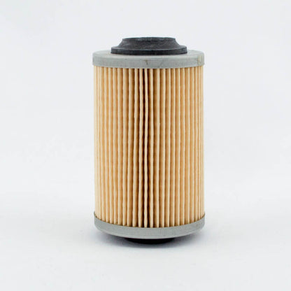 Bigtym Cartridge Oil Filter R2605P Interchange