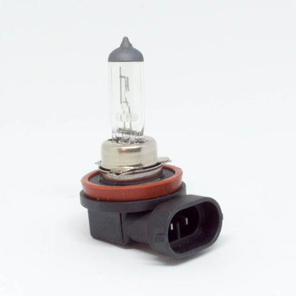 H11 12V 55W Halogen Bulb