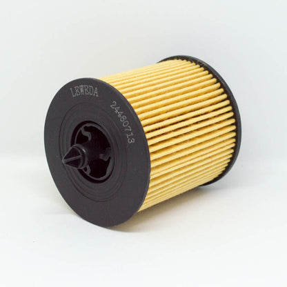 Leweda Cartridge Oil Filter R2602P Interchange