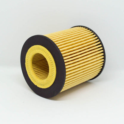 Leweda Cartridge Oil Filter R2604P Interchange