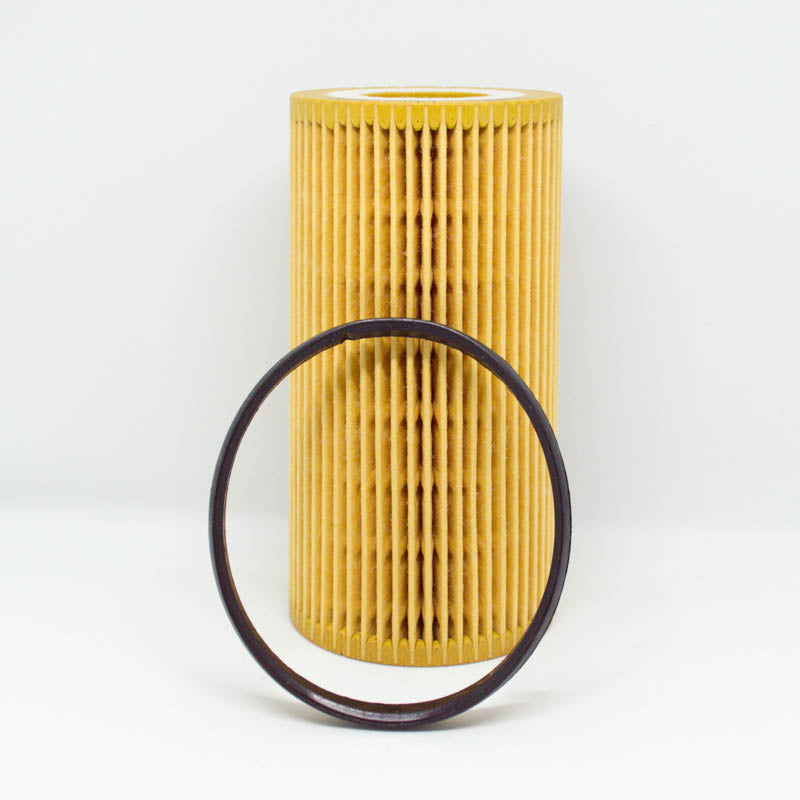 Leweda Cartridge Oil Filter R2646P Interchange