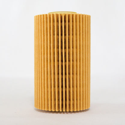 Leweda Cartridge Oil Filter R2651P Interchange