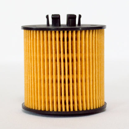 Leweda Cartridge Oil Filter R2665P Interchange