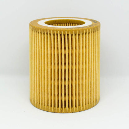 Leweda Cartridge Oil Filter R2673P Interchange