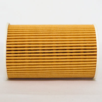 Leweda Cartridge Oil Filter R2701P Interchange